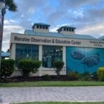 Manatees