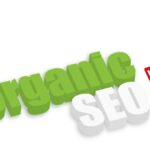 Organic SEO